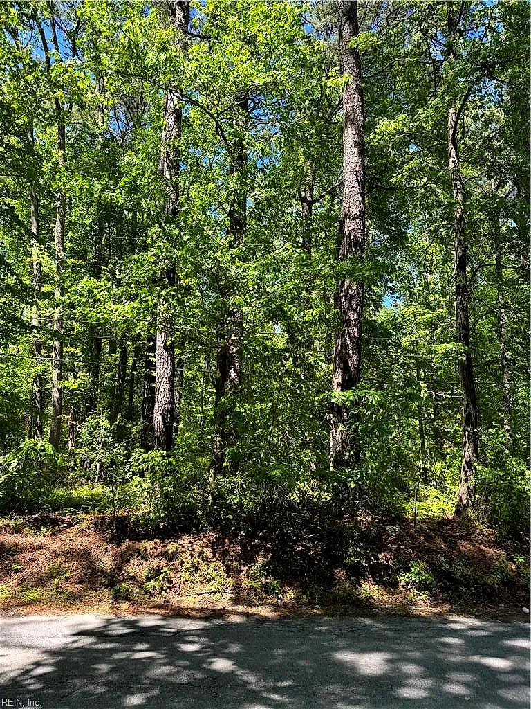 Lot 80 Pughsville RD, SUFFOLK VA 23435