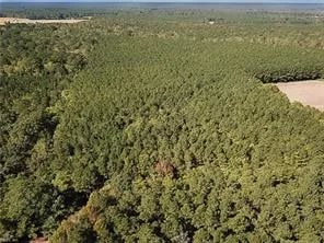 15 Acres Cypress Chapel RD, Suffolk — Land and Farms