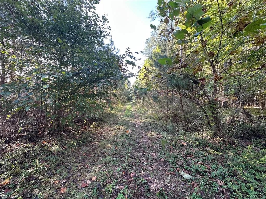 16.4ac Plainview DR, Saluda — Land and Farms