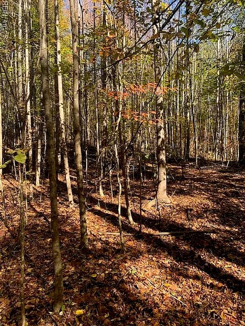 17+ac T.C. Walker Rd (Off of). Rt. 629 LN, GLOUCESTER VA 23061