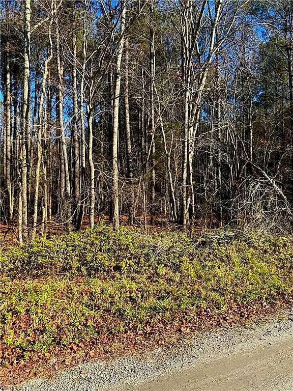.95AC Cowpen Neck RD, GLOUCESTER VA 23061