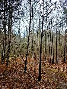 4200 John (304362300) ST, SUFFOLK VA 23435