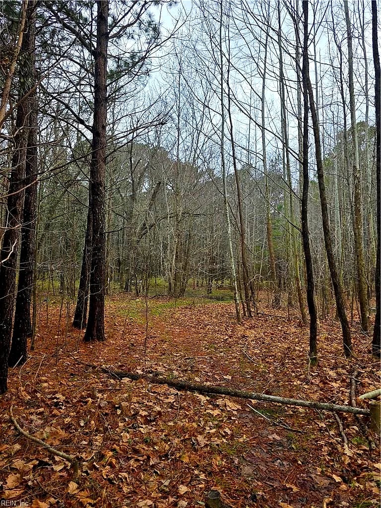4200 John (301728600) ST, SUFFOLK VA 23435