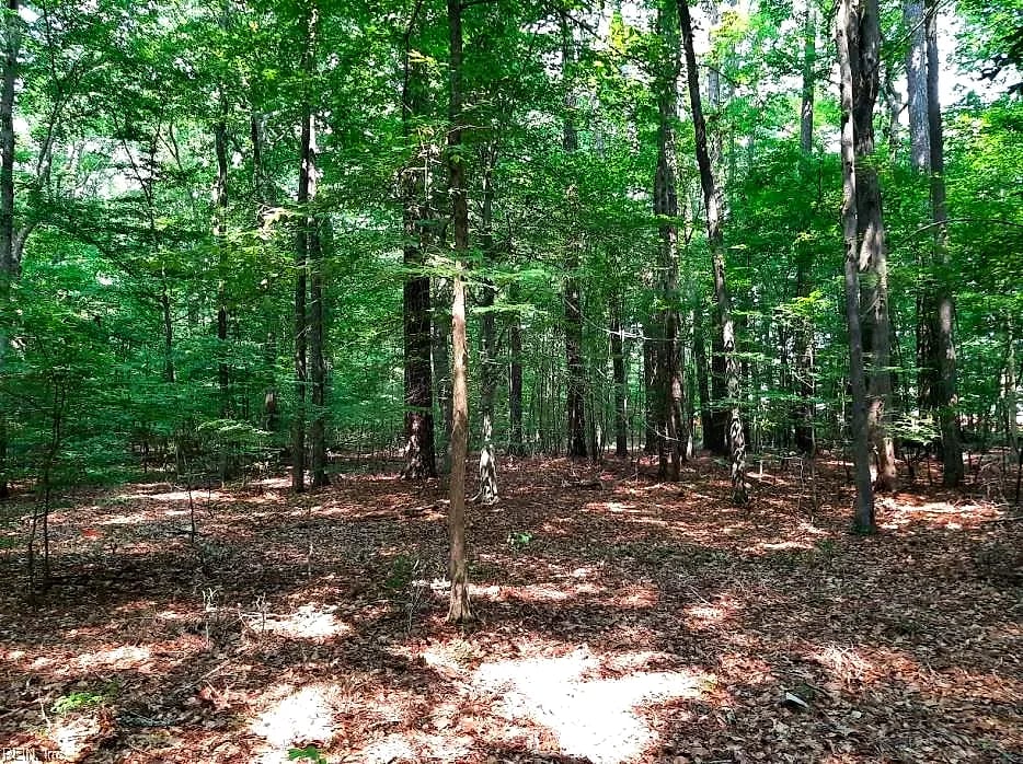 6628 Blackwater RD, VIRGINIA BEACH VA 23457