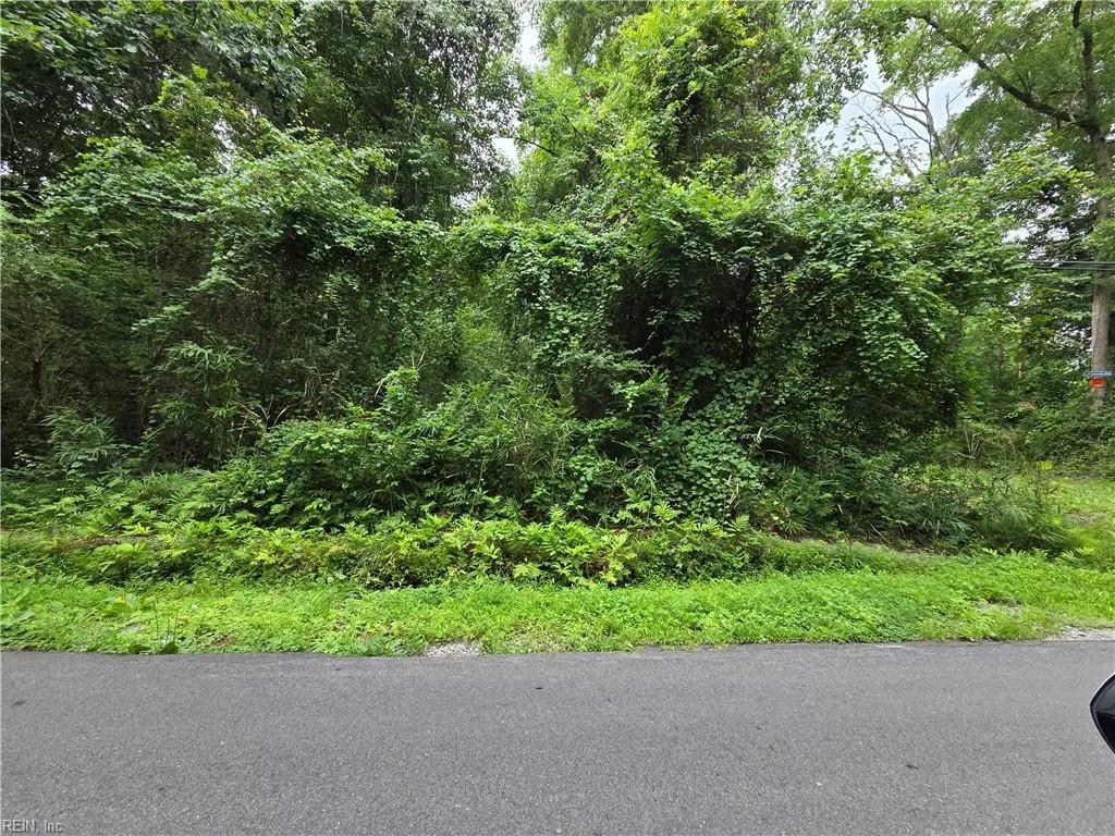.37 Acre Mineral Spring RD, SUFFOLK VA 23438