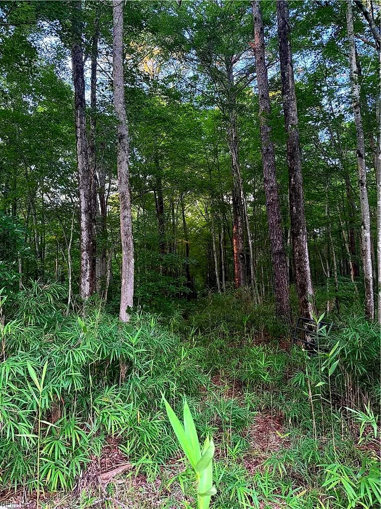Lot 7 Tuck ST, CHESAPEAKE VA 23322