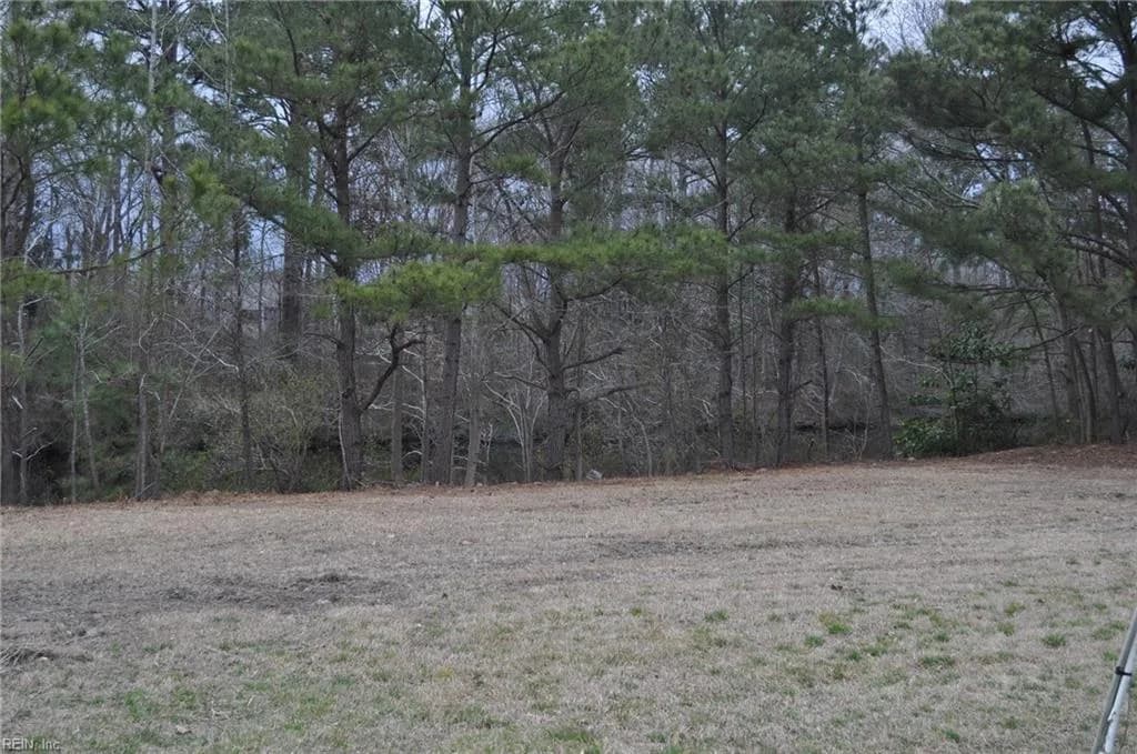 Par B George Washington Highway S, Chesapeake VA 23323 - Photo 5