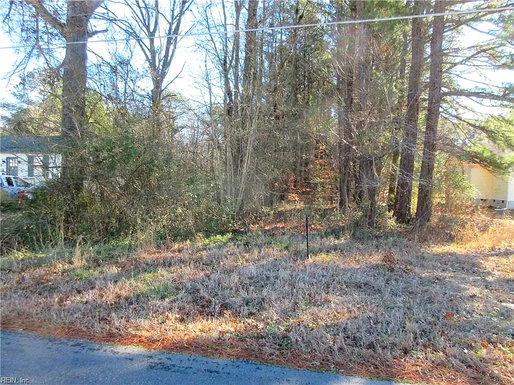 464 Queens Creek (Lot 1) Road, Williamsburg — Land and Farms