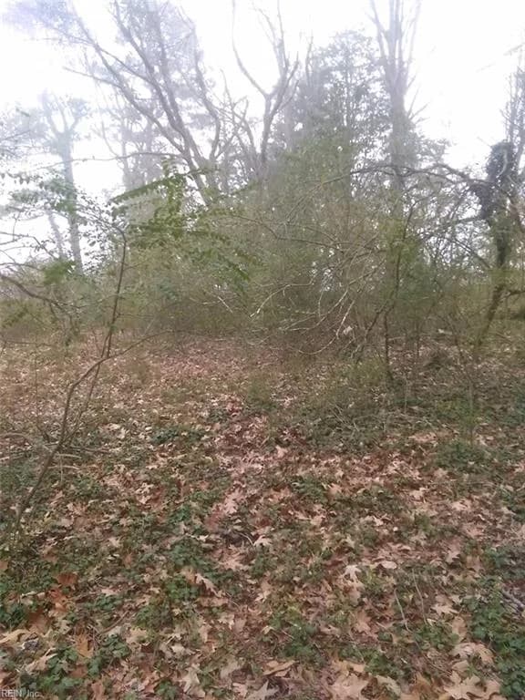 LOT 15 Farm Road, Smithfield VA 23430 - Photo 3