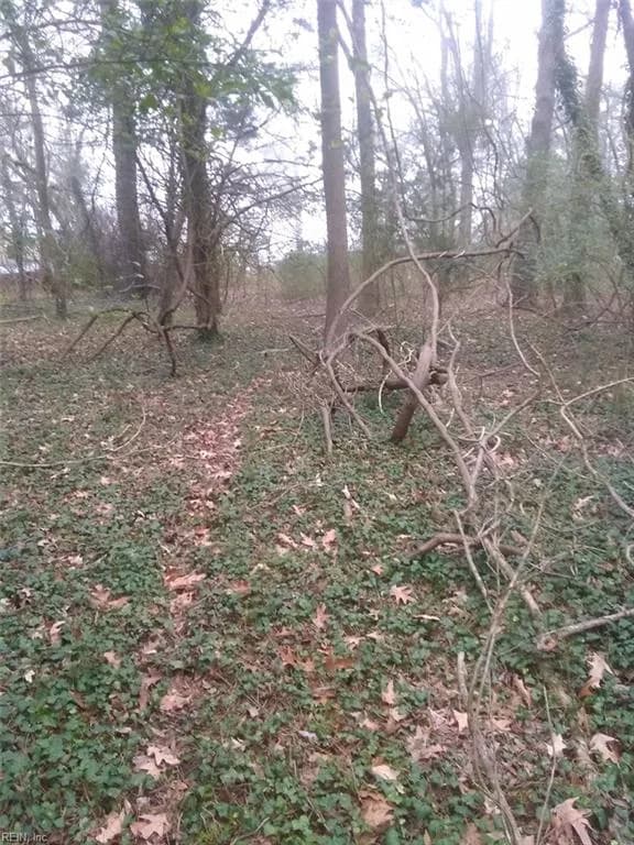LOT 15 Farm Road, Smithfield VA 23430 - Photo 4