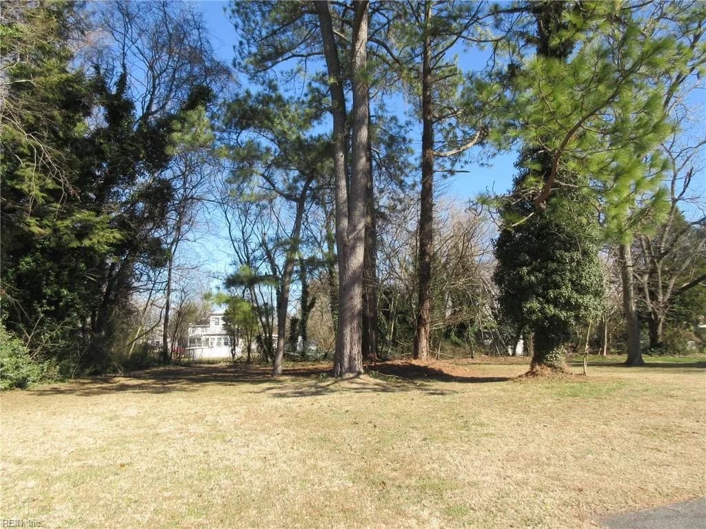 217 Downes Street, Hampton VA 23663 - Photo 3