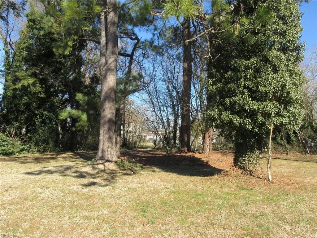 217 Downes Street, Hampton VA 23663 - Photo 4