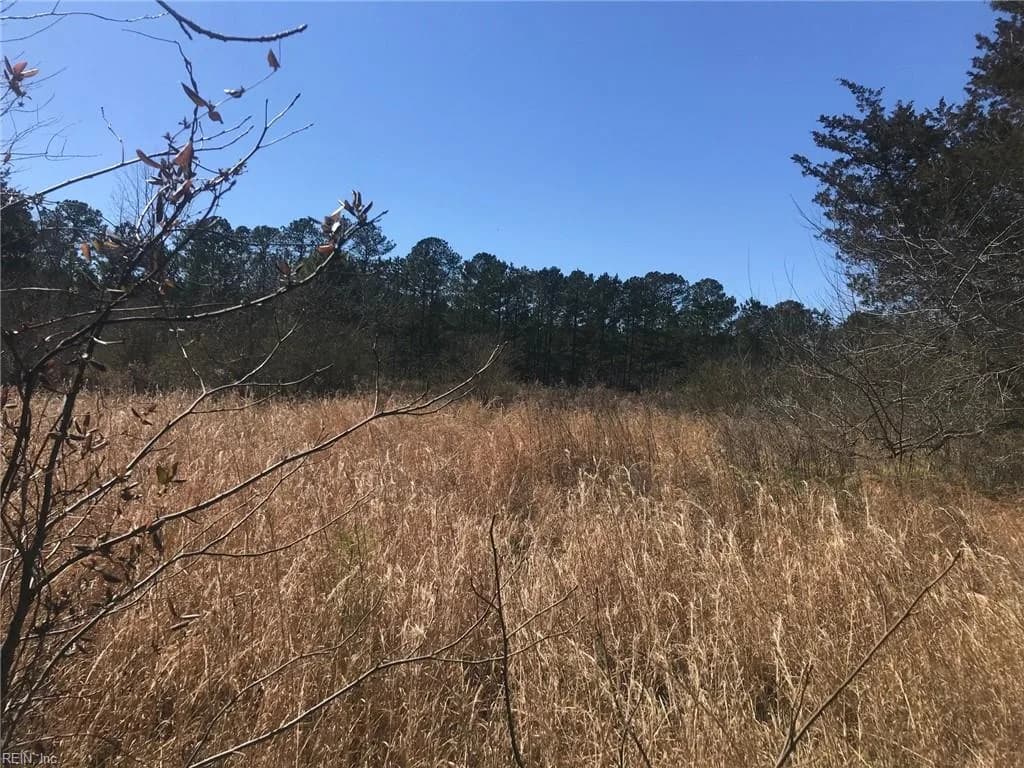 4AC General Mahone Boulevard, Ivor VA 23866 - Photo 2