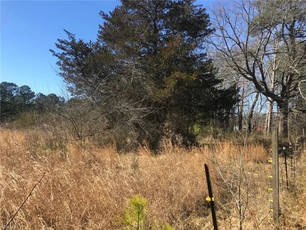 4AC General Mahone Boulevard, Ivor VA 23866 - Photo 3
