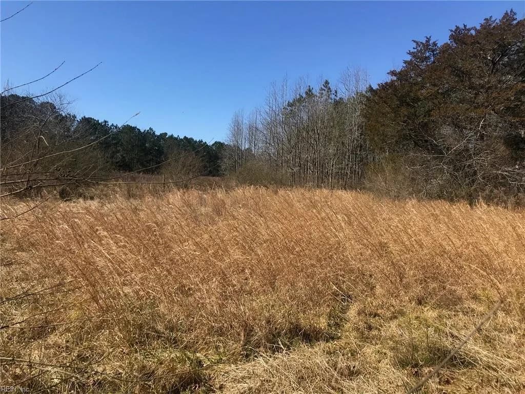 4AC General Mahone Boulevard, Ivor VA 23866 - Photo 4
