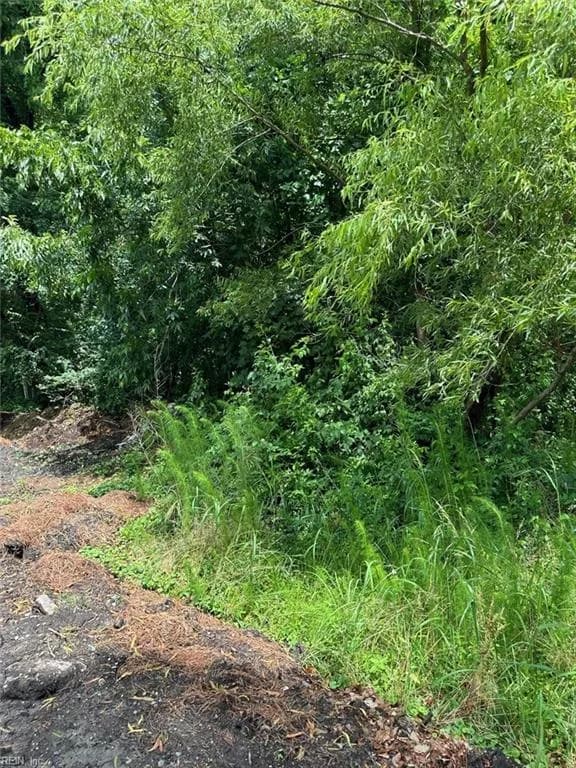 .18AC Clifton Street, Suffolk VA 23435 - Photo 2