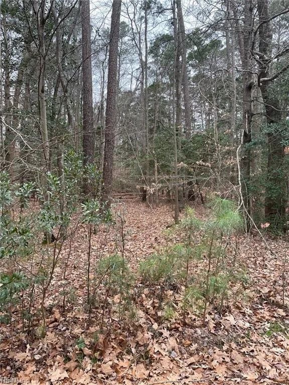 420 Yorkville Road, Yorktown VA 23692 - Photo 3