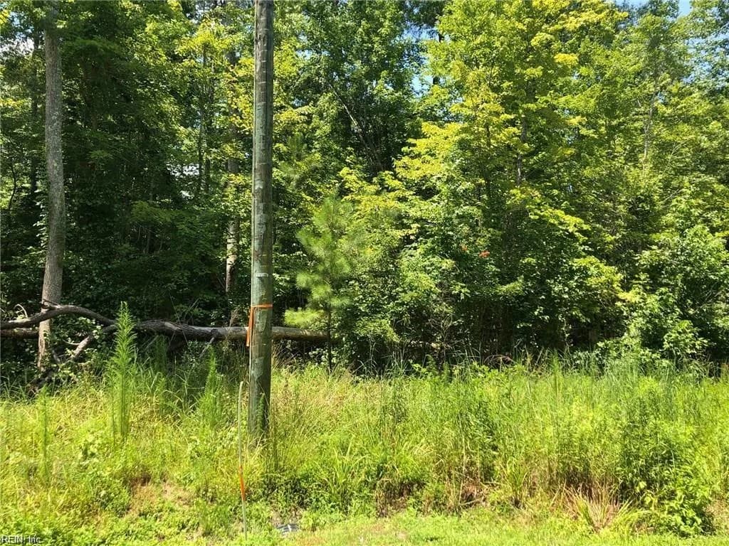 .26 AC Bartlett Circle, Isle Of Wight VA 23397 - Photo 3