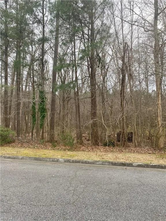 55+ac Taylor Farm , Virginia Beach VA 23456