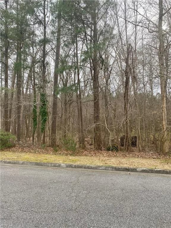 55+ac Taylor Farm , Virginia Beach VA 23456 - Photo 2