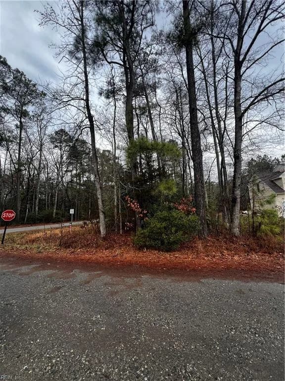 Lot 1 Poplar Drive, Hartfield VA 23071 - Photo 3