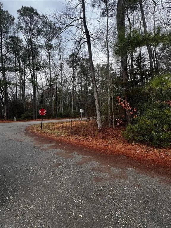 Lot 1 Poplar Drive, Hartfield VA 23071 - Photo 4