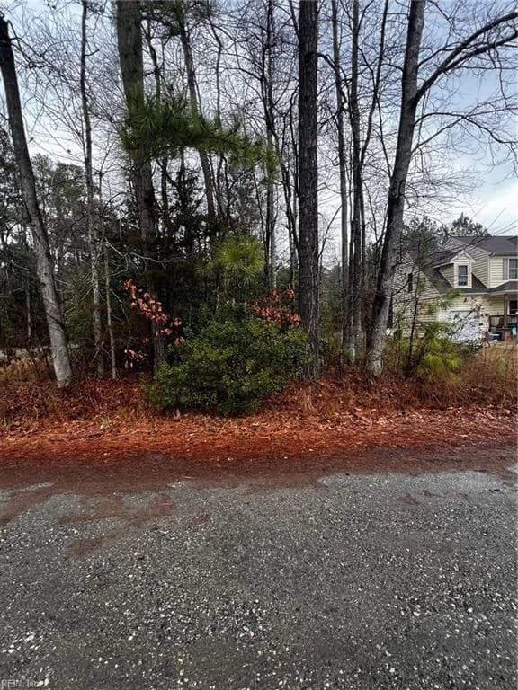 Lot 1 Poplar Drive, Hartfield VA 23071 - Photo 5