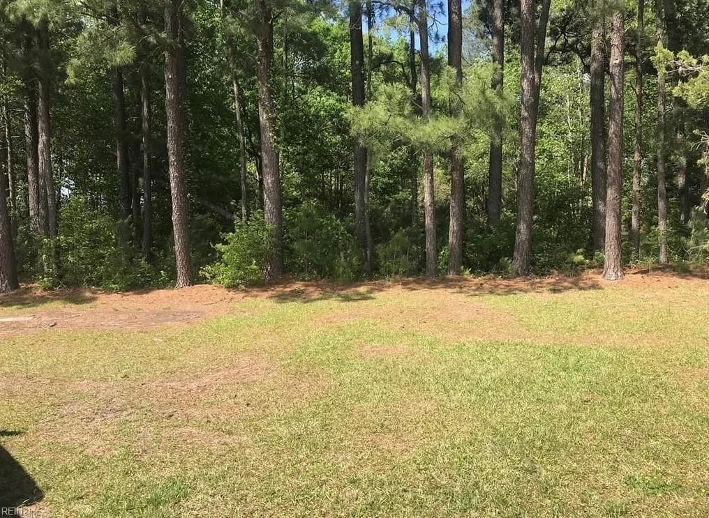16010 Courthouse Highway, Smithfield VA 23430 - Photo 3