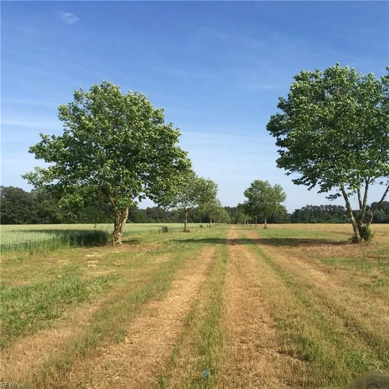 Lot 15 Metompkin Road, Nelsonia VA 23414 - Photo 3