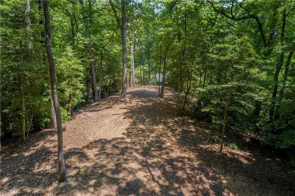 862 Twiggs Ferry Road, Hartfield VA 23071 - Photo 4