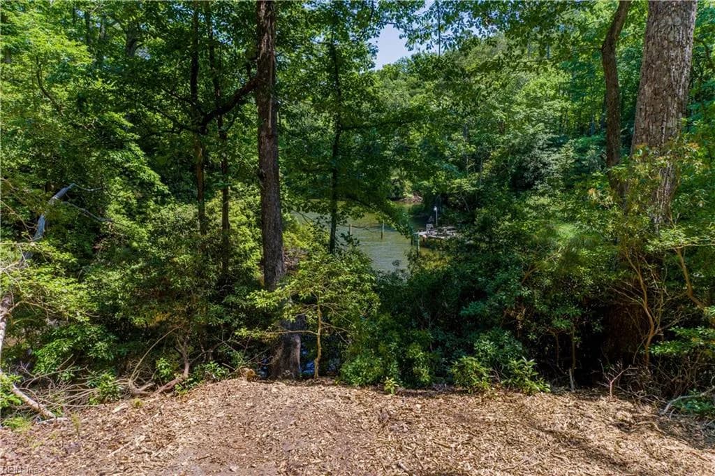 862 Twiggs Ferry Road, Hartfield VA 23071 - Photo 5
