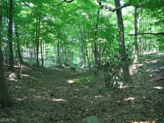 6+ac Fan Park Drive, South Boston VA 24592 - Photo 4