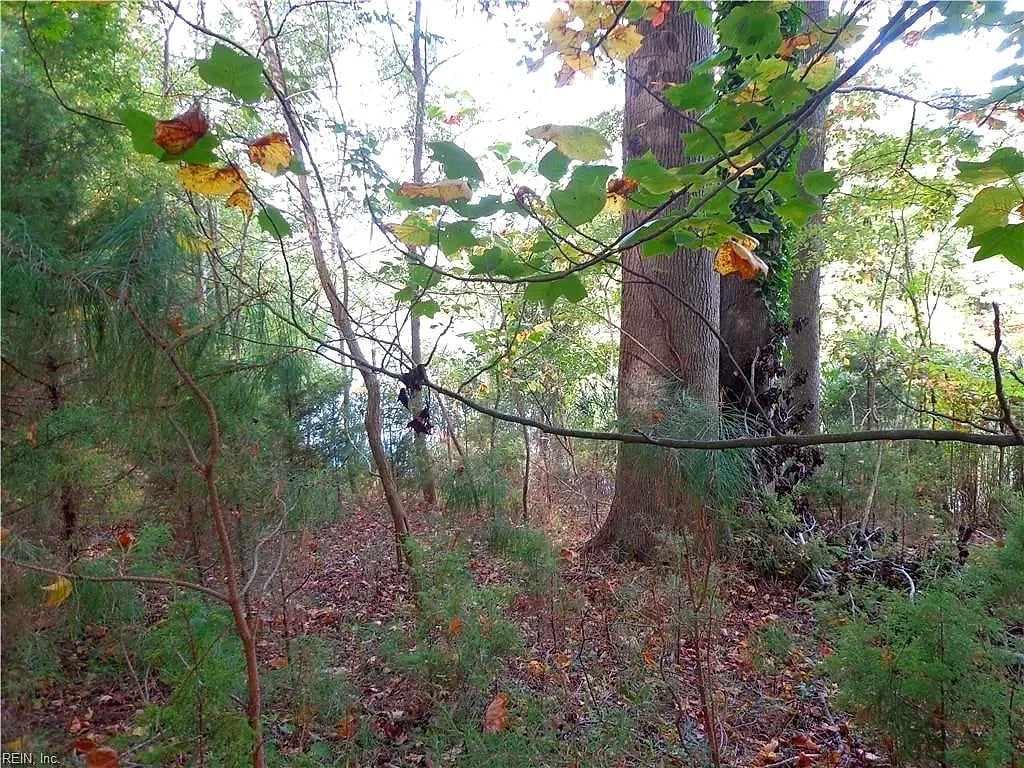 2.81AC Morgarts Beach Road, Smithfield — Land and Farms