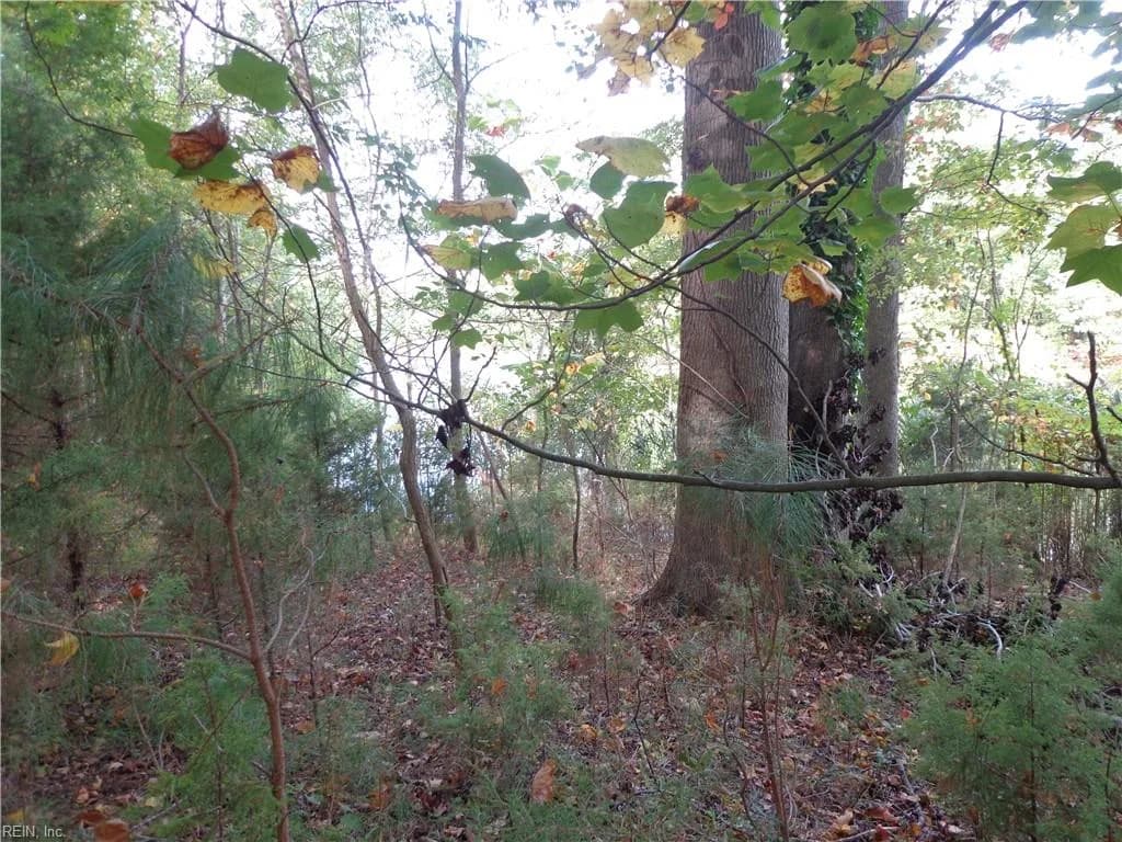 2.81AC Morgarts Beach Road, Smithfield VA 23430 - Photo 2