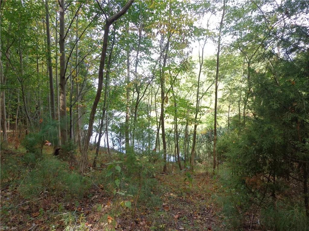 2.81AC Morgarts Beach Road, Smithfield VA 23430 - Photo 3