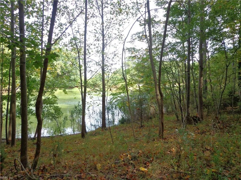 2.81AC Morgarts Beach Road, Smithfield VA 23430 - Photo 4