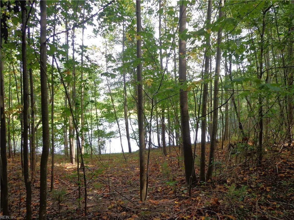 2.81AC Morgarts Beach Road, Smithfield VA 23430 - Photo 5