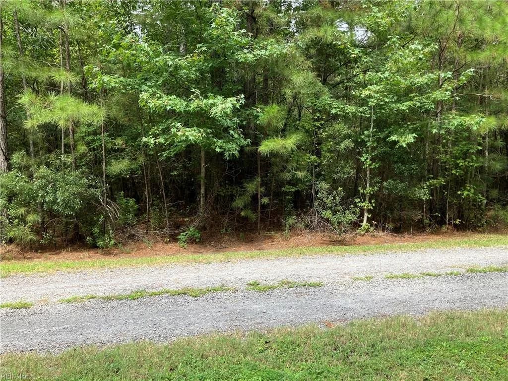 Lot 3 Kings Land Court, Gates NC 27937 - Photo 3