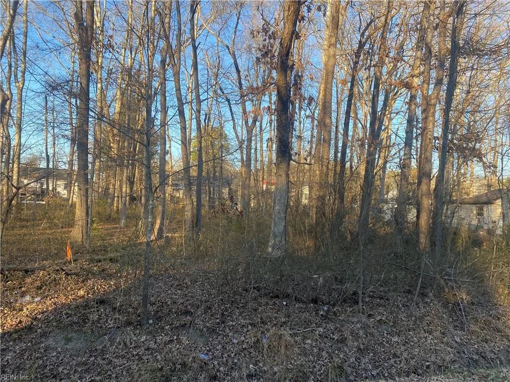 802 Luke Street, Blackstone VA 23824 - Photo 3