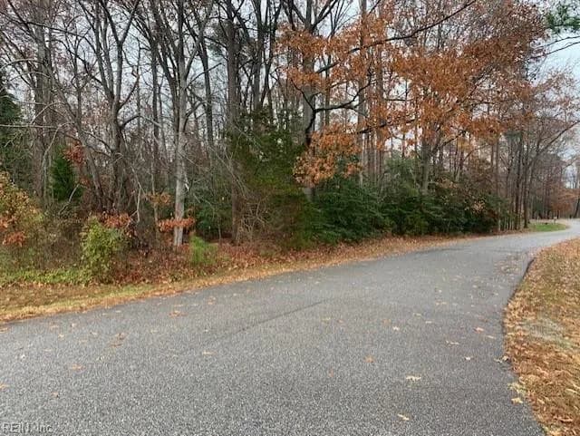 Lot 39 Wilton Coves Drive, Hartfield VA 23071 - Photo 4