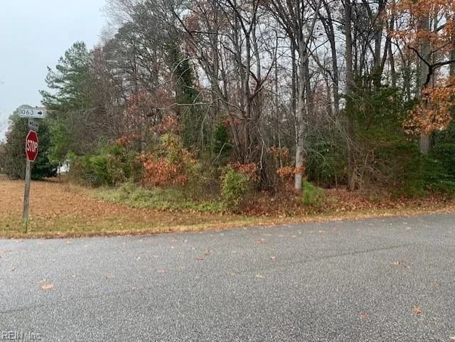 Lot 39 Wilton Coves Drive, Hartfield VA 23071 - Photo 5