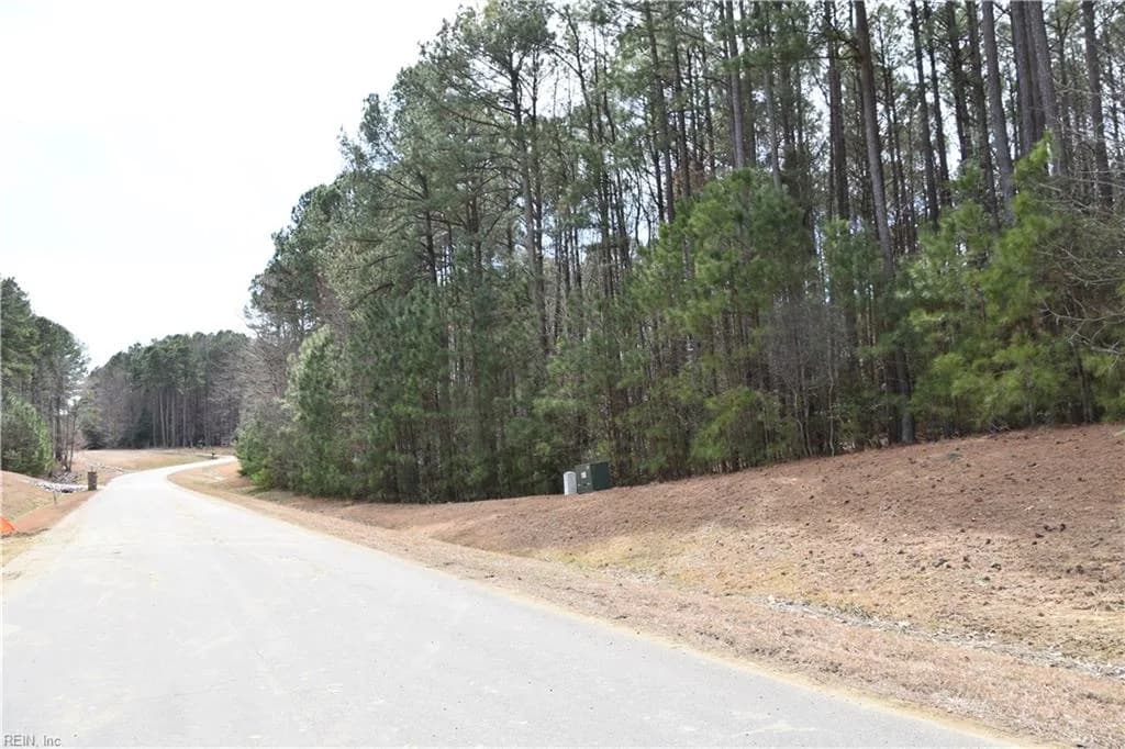 1314 Lawnes Neck Drive, Smithfield VA 23430 - Photo 3