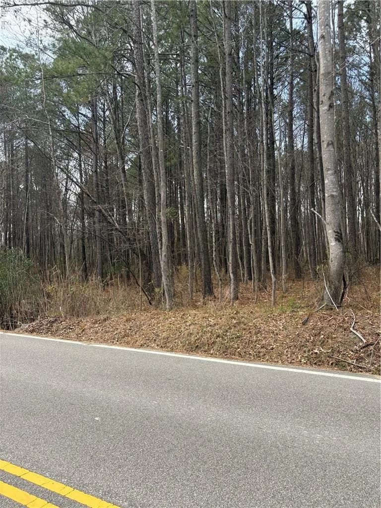 10 AC Millville RD, CHESAPEAKE VA 23323 - Photo 2