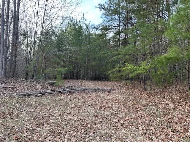 9789 Honey Tree CT, GLOUCESTER VA 23061 - Main photo