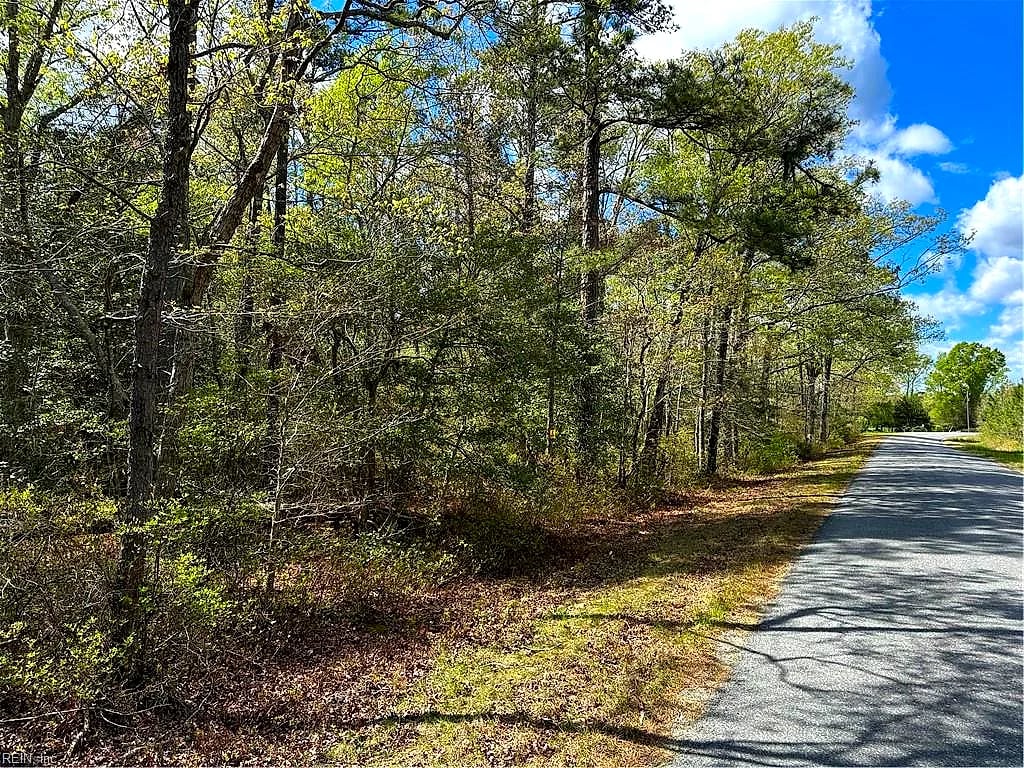 00 Briery Swamp RD, Jamaica — Land and Farms