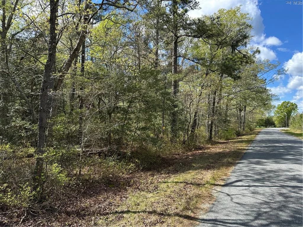 00 Briery Swamp RD, JAMAICA VA 23079 - Photo 2