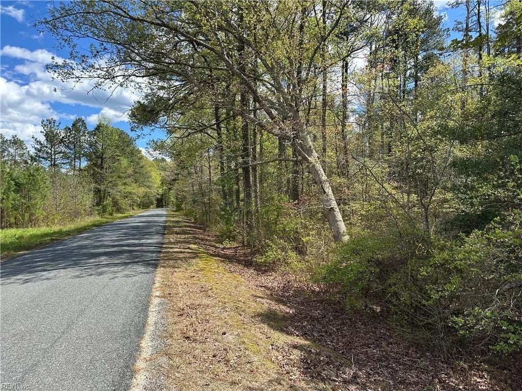 00 Briery Swamp RD, JAMAICA VA 23079 - Photo 3