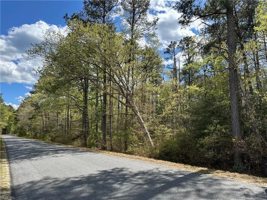 00 Briery Swamp RD, JAMAICA VA 23079 - Photo 4