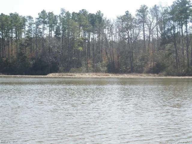 1850 John Tyler HWY, WILLIAMSBURG VA 23185 - Photo 4
