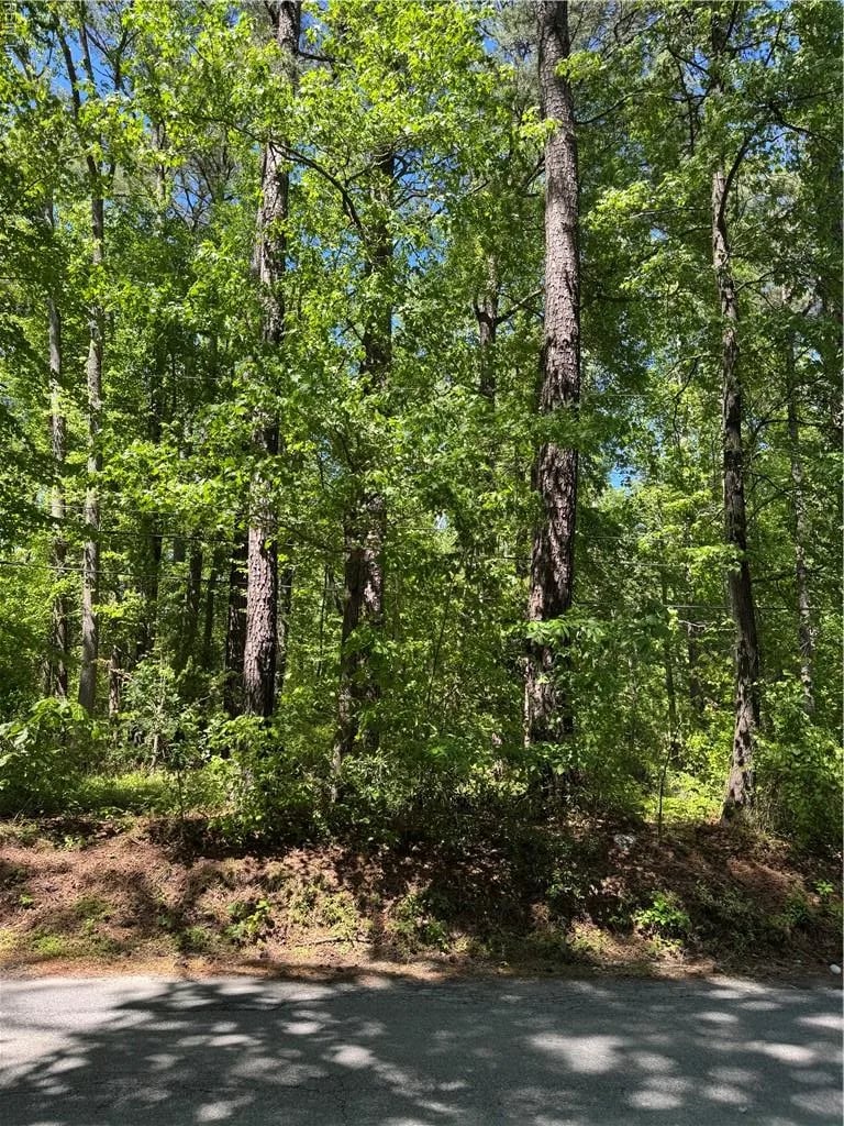Lot 80 Pughsville RD, SUFFOLK VA 23435